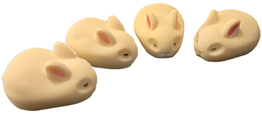 Bunnies